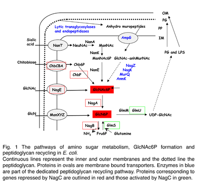 fig1